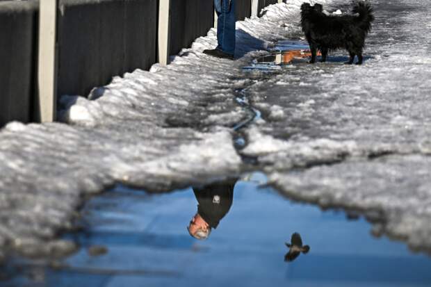 В Москве лед тронулся