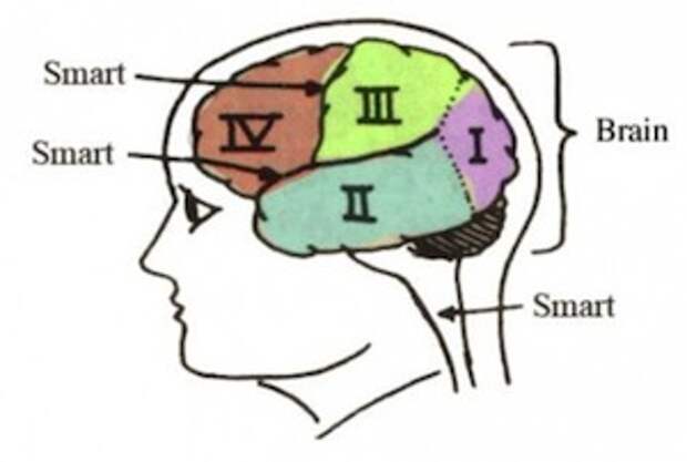 Iq net