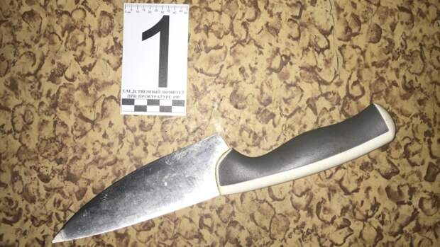 Юноша получил травму груди при нападении вооруженного мужчины в Ленобласти