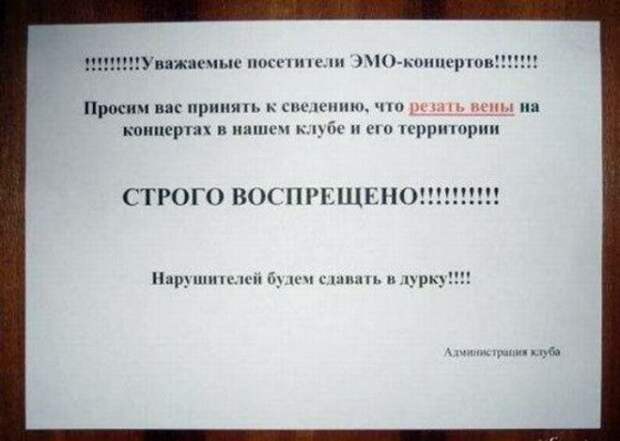 Novate.ru предупреждает, резать вены категорически запрещено. | Фото: OrangeCat - Блог про інтернет. Novateru предупреждает резать вены категорически запрещено Фото OrangeCat Блог про нтернет