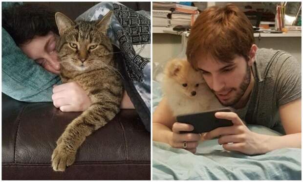 20+ питомцев, которые бессовестно «увели» вторых половинок своих хозяев