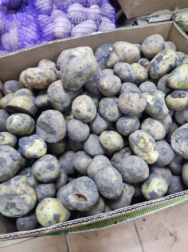 Авоська на мр-н Широкий, картофель -одно гнилье и мусор