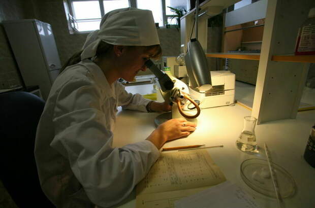 Систему мотивации научных сотрудников в России расширят