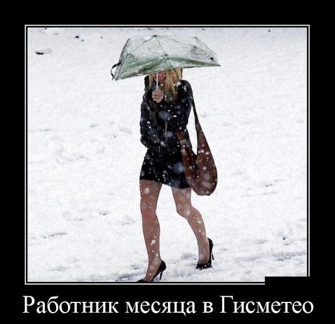 Демотиваторы бревно, демотиваторы, юмор