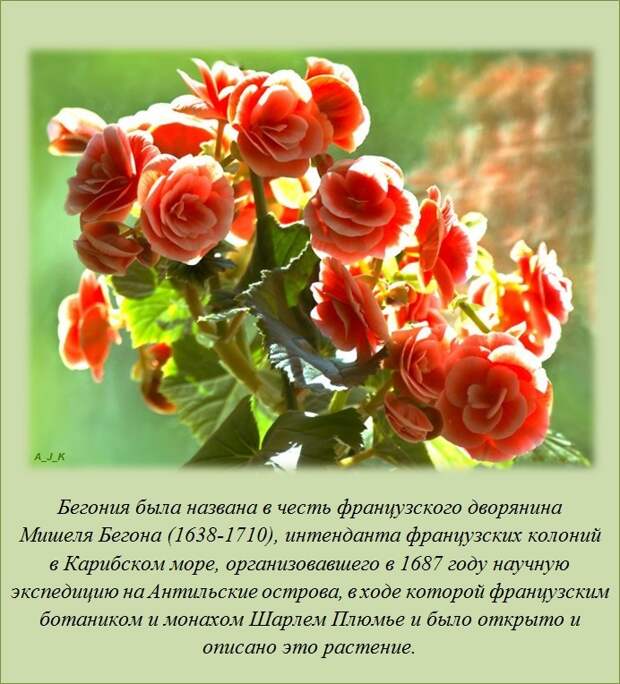 Только факты и ничего, кроме них (20 штук) Только факты и ничего, кроме них (20 штук)