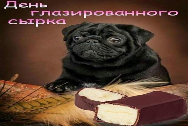 Дурацкие открытки в мессенджерах