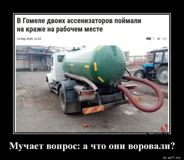 1589439983_demki-4.jpg