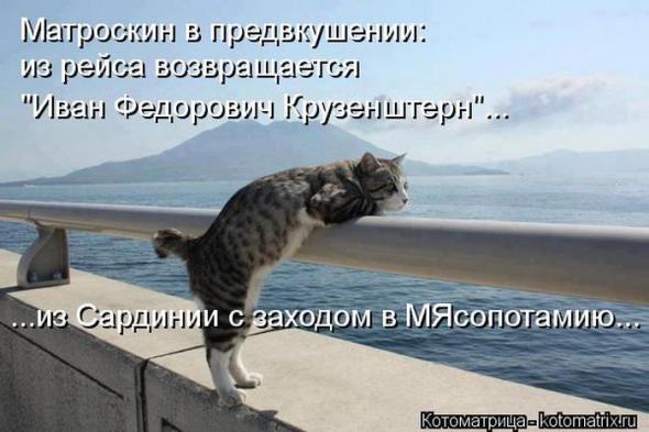 Котоматрицы (картинки с надписями)