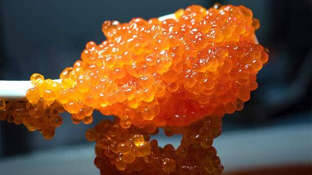 Эксперт назвала цены на икру и красную рыбу перед Новым годом