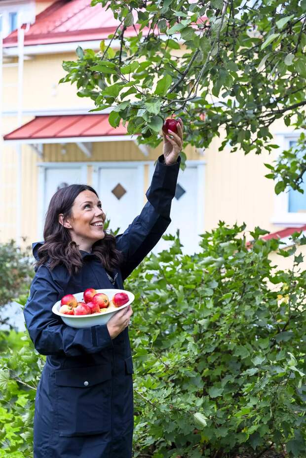 А это — Линда во дворе своего дома. Собирает коллективный урожай яблок