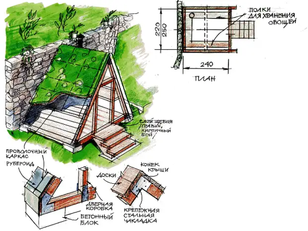 Схема погреба на участке