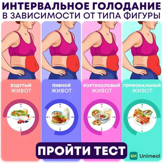 Типы живота