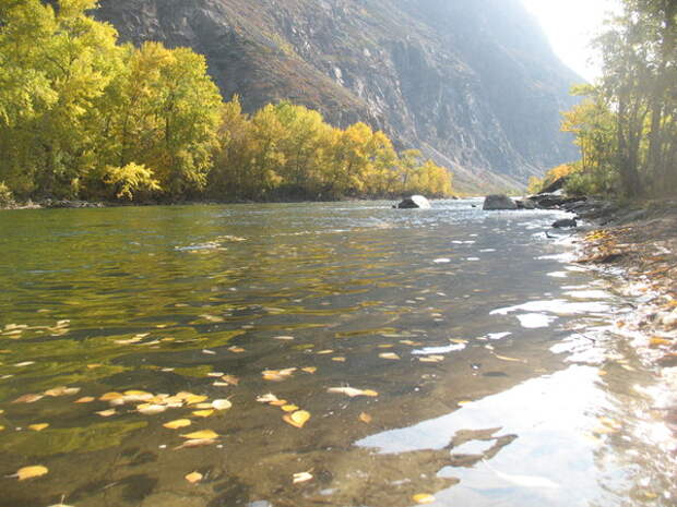 Медведицкая аномальная зона.