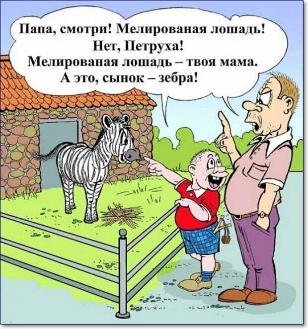 Минутка юмора картинки