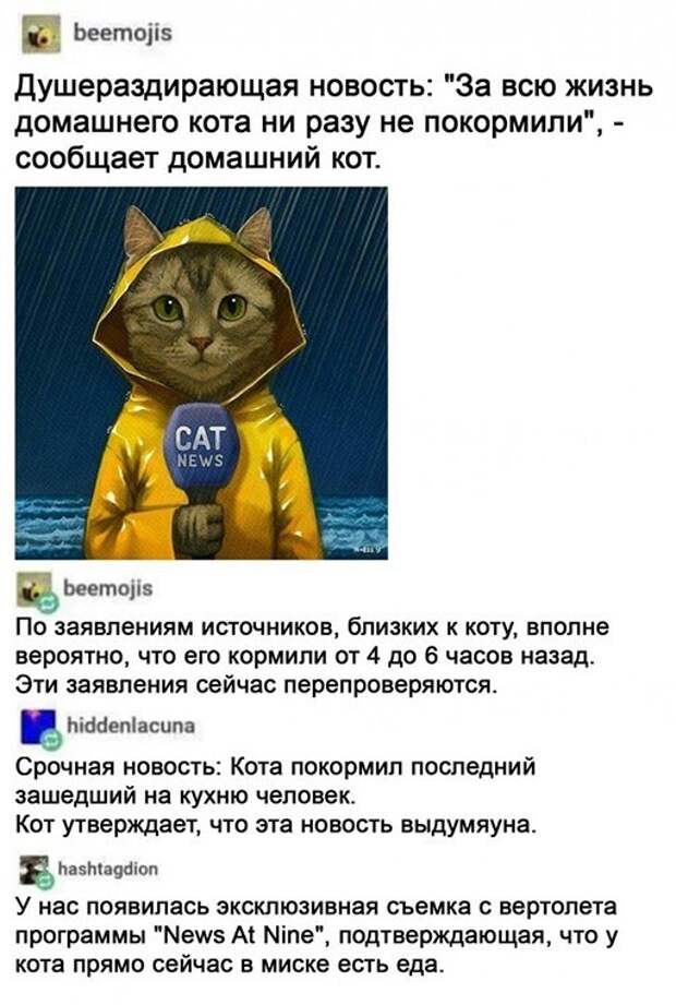 Смешные и познавательные картинки
