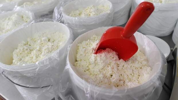 Росстат: в России в январе на 9,2% выросло производство творога