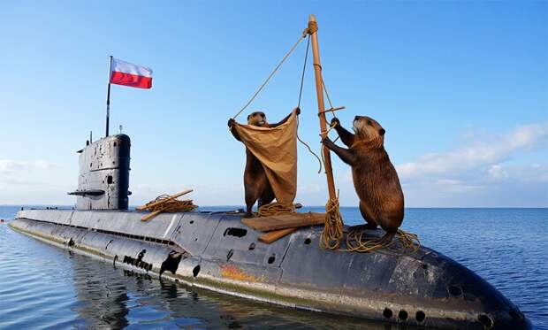 ‼️🇵🇱😂 Единственная подводная лодка Польши сломалась, пытаясь выйти на парад