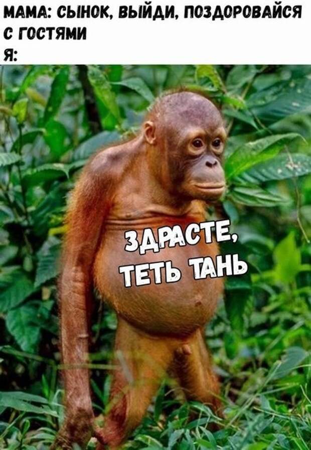 Когда с вами не очень хотят общаться (24 фото)