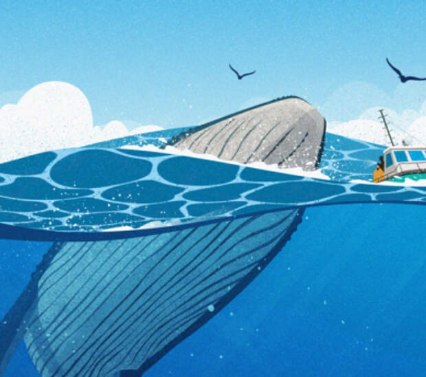 Морские рейсы и работа с большими данными: как устроена профессия океанолога