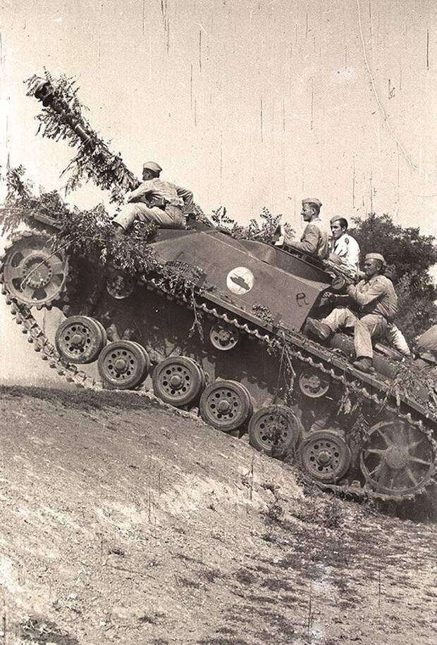 Немецкие САУ StuG III на учениях в югославской народной армии. 1947 г. вов, военное, интересное, история, трофеи, фото