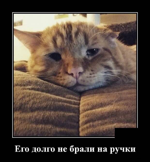 Демотиваторы (30 фото)