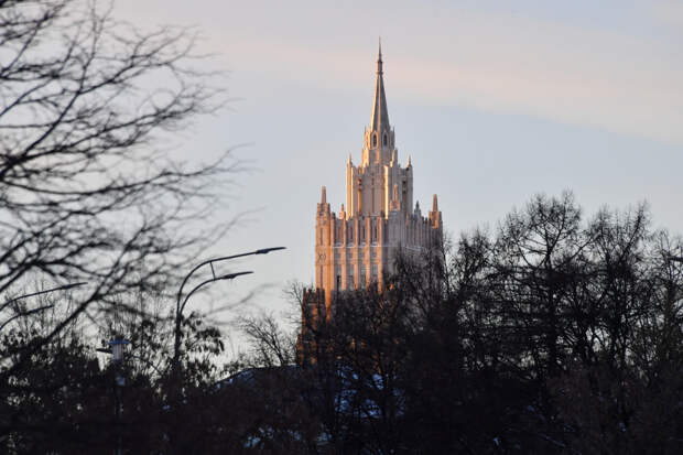 В МИД назвали число латиноамериканских наемников в ВСУ