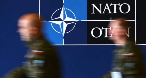 ANSA: страны НАТО не смогли договориться по графику принятия Украины в альянс