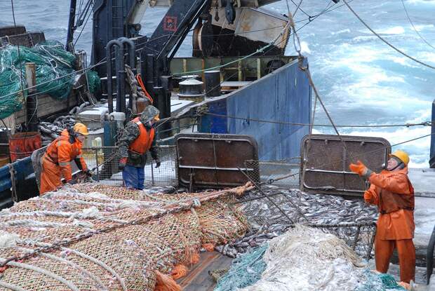 Норвегия осталась без рыбы из-за Мурманского морского порта