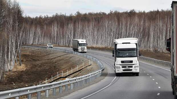 Почти 7 тыс. транспортных компаний России оказались в стадии ликвидации или банкротства