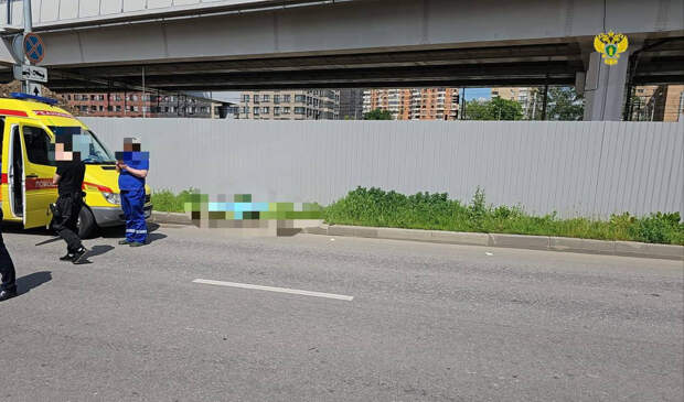 Заказное убийство: в Москве мужчину расстреляли на улице, нападение попало на видео