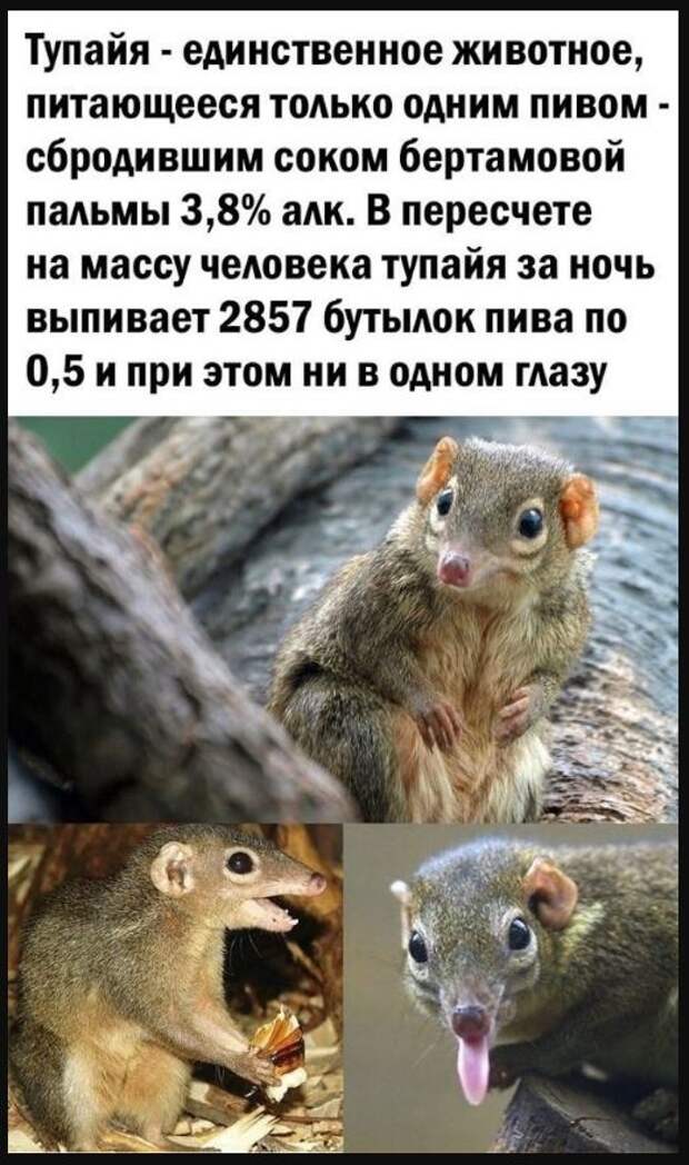 картинки с надписями ржачных (10)