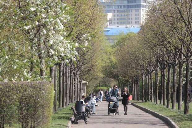Синоптик рассказал, когда в Москве полностью растает снег