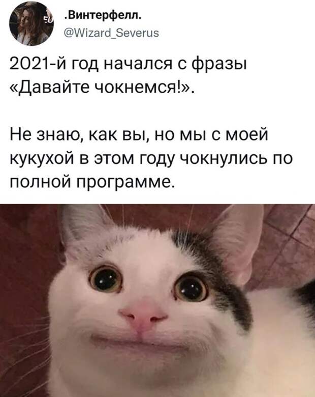 Смешные картинки вечер 2 декабря 2021 года