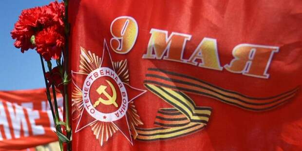 Собянин: Строгий домашний режим не помешает поздравить ветеранов с 9 Мая/ Фото mos.ru