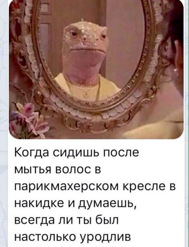 Подборка картинок (20 фото)