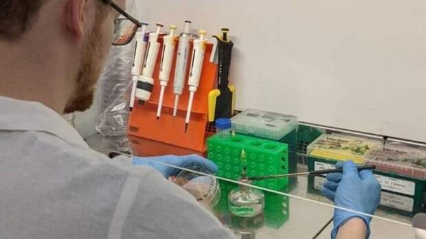 Пермские ученые создали уникальное дезинфицирующее средство