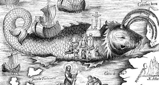 Saint brendan whale
