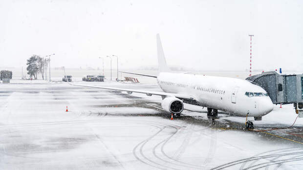 Росавиация ограничила работу аэропортов Домодедово и Жуковский