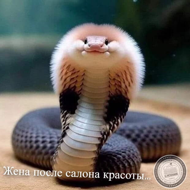 Салон красоты