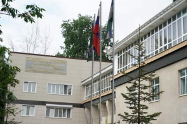 Председатель СК России поручил возбудить уголовное дело по факту противоправных действий тренера в отношении несовершеннолетнего в Республике Башкортостан