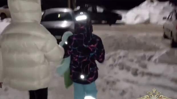 Девочка, которую нашли в Смоленске после поисков, могла знать похитителя