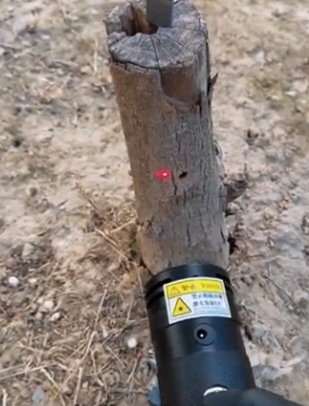 Источник фото: Reddit