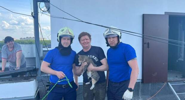 Подмосковные спасатели помогли кошке выбраться из вентиляционной шахты в Ногинске