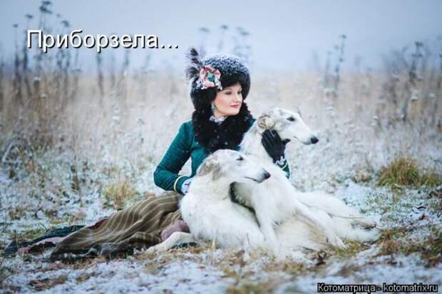 Лучшие котоматрицы недели