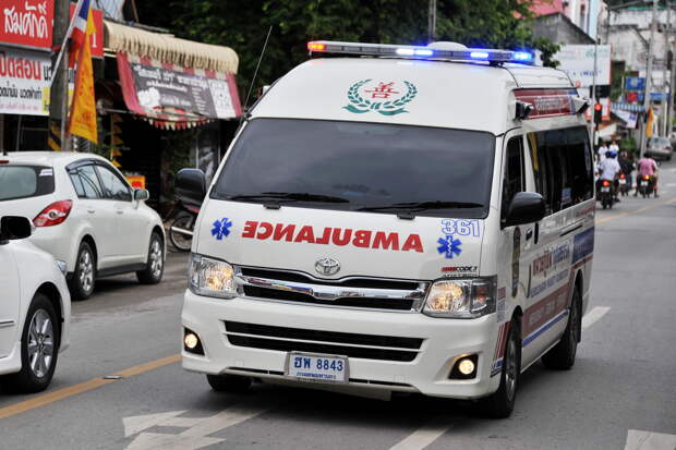 Поездка в зоопарк Таиланда закончилась для пары российских туристов в реанимации