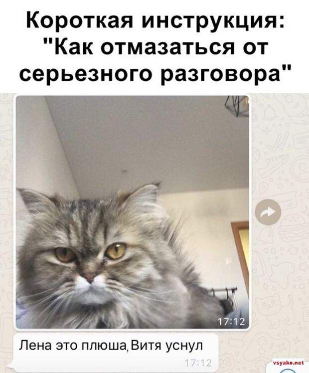 www.vsyako.net