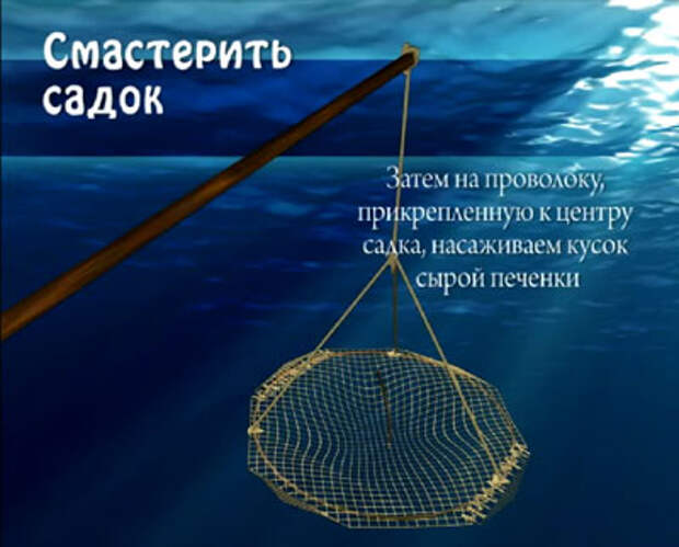 Речные раки-4 Речные раки-4
