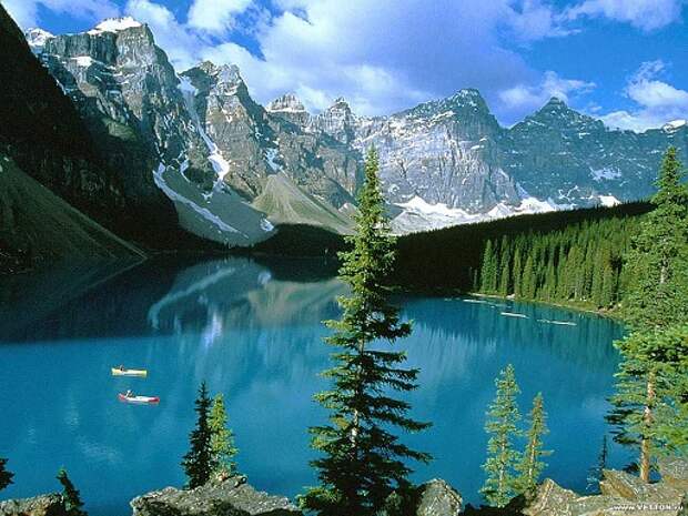 Лотос Лотос