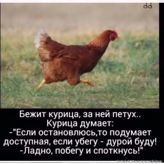 Посмотрел Иван-царевич на тещ своих братьев и пустил стрелу в болото Посмотрел Иван-царевич на тещ своих братьев и пустил стрелу в болото принято, домой, бельё, предложил, полиция, отвечает, Подходит, купить, вдруг, мужчины, предложила, можно, палубе, больше, стоял, бывшей, когда, прекрасный, круиз, собираемся