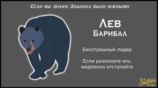 Есть южная версия знаков Зодиака — и она очень точна